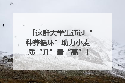 这群大学生通过“种养循环”助力小麦质“升”量“高”