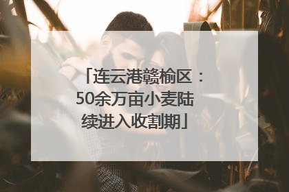 连云港赣榆区：50余万亩小麦陆续进入收割期