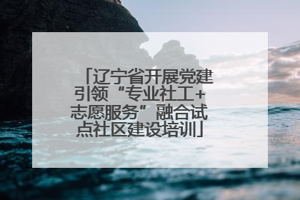 辽宁省开展党建引领“专业社工+志愿服务”融合试点社区建设培训