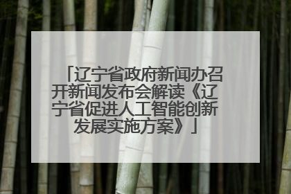 辽宁省政府新闻办召开新闻发布会解读《辽宁省促进人工智能创新发展实施方案》