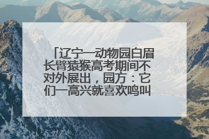 辽宁一动物园白眉长臂猿猴高考期间不对外展出，园方：它们一高兴就喜欢鸣叫，怕影响考试