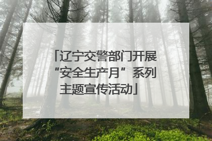 辽宁交警部门开展“安全生产月”系列主题宣传活动