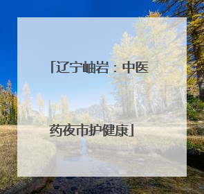 辽宁岫岩：中医药夜市护健康