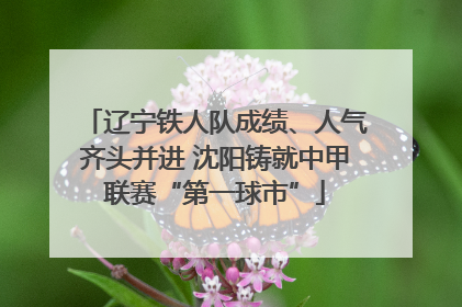 辽宁铁人队成绩、人气齐头并进 沈阳铸就中甲联赛“第一球市”