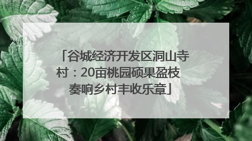 谷城经济开发区洞山寺村：20亩桃园硕果盈枝 奏响乡村丰收乐章