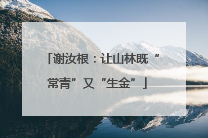 谢汝根：让山林既“常青”又“生金”
