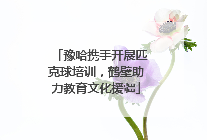 豫哈携手开展匹克球培训，鹤壁助力教育文化援疆