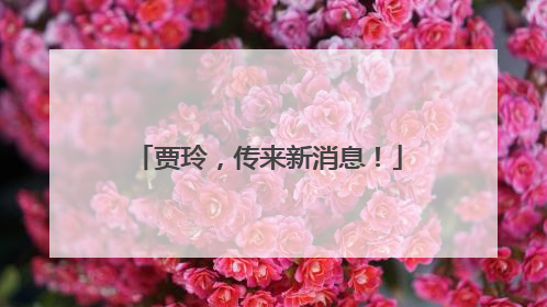 贾玲，传来新消息！