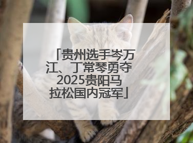 贵州选手岑万江、丁常琴勇夺2025贵阳马拉松国内冠军
