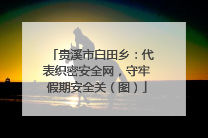 贵溪市白田乡：代表织密安全网，守牢假期安全关（图）
