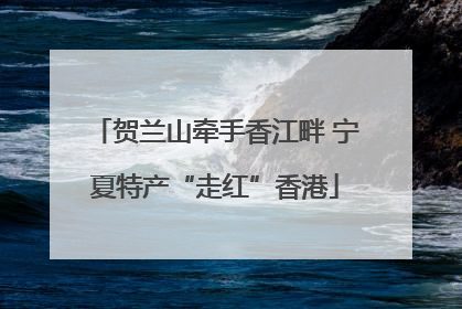 贺兰山牵手香江畔 宁夏特产“走红”香港