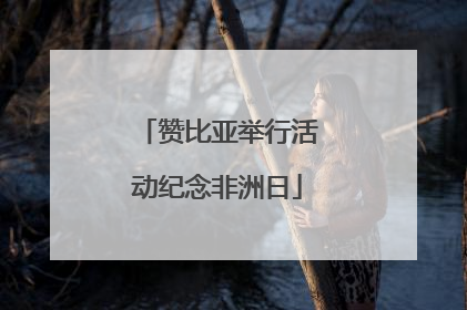 赞比亚举行活动纪念非洲日