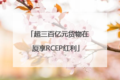超三百亿元货物在厦享RCEP红利