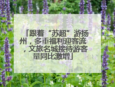 跟着“苏超”游扬州，多重福利迎客流，文旅名城接待游客量同比激增