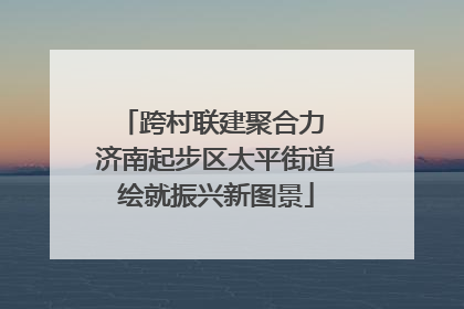 跨村联建聚合力 济南起步区太平街道绘就振兴新图景