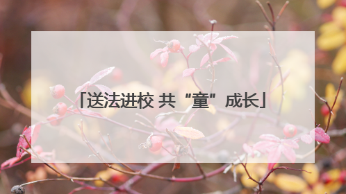送法进校 共“童”成长