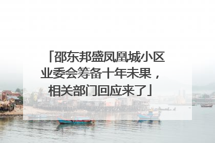 邵东邦盛凤凰城小区业委会筹备十年未果，相关部门回应来了