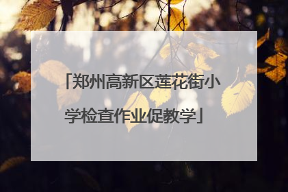 郑州高新区莲花街小学检查作业促教学