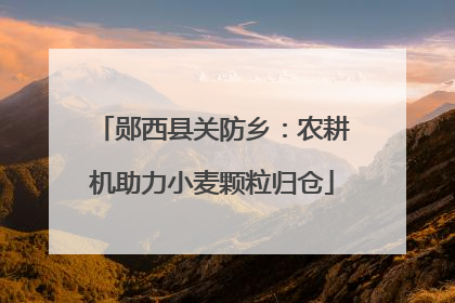 郧西县关防乡：农耕机助力小麦颗粒归仓