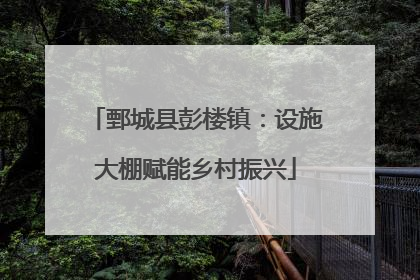 鄄城县彭楼镇：设施大棚赋能乡村振兴