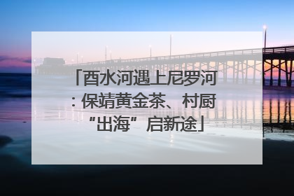 酉水河遇上尼罗河：保靖黄金茶、村厨“出海”启新途