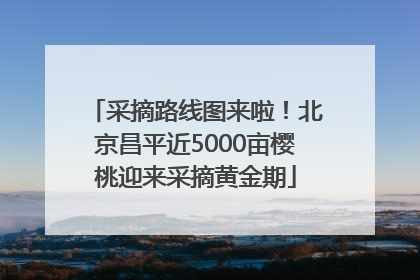 采摘路线图来啦！北京昌平近5000亩樱桃迎来采摘黄金期
