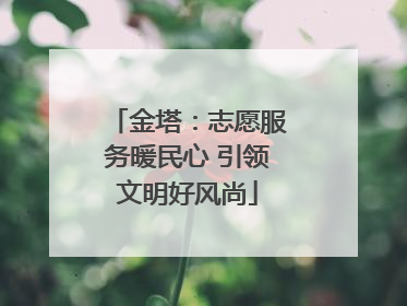 金塔：志愿服务暖民心 引领文明好风尚