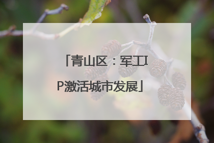 青山区：军工IP激活城市发展