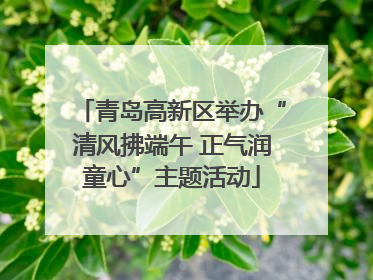 青岛高新区举办“清风拂端午 正气润童心”主题活动