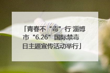 青春不“毒”行 淄博市“6.26”国际禁毒日主题宣传活动举行