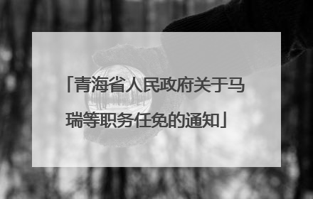 青海省人民政府关于马瑞等职务任免的通知