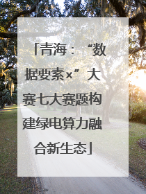 青海：“数据要素×”大赛七大赛题构建绿电算力融合新生态