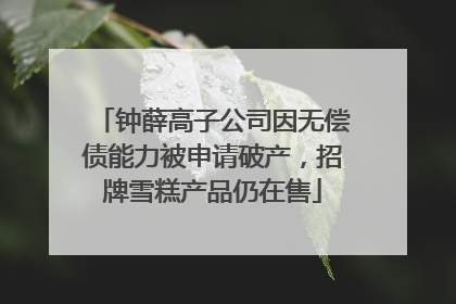 钟薛高子公司因无偿债能力被申请破产，招牌雪糕产品仍在售