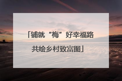 铺就“梅”好幸福路 共绘乡村致富图