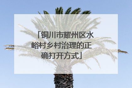铜川市耀州区水峪村乡村治理的正确打开方式