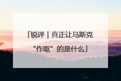 锐评｜真正让马斯克“作呕”的是什么