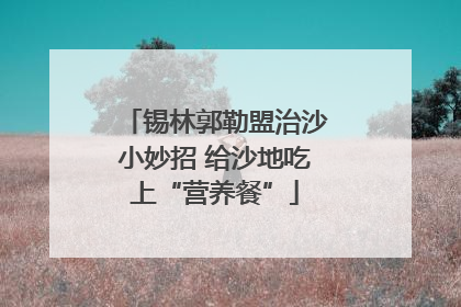 锡林郭勒盟治沙小妙招 给沙地吃上“营养餐”