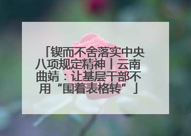 锲而不舍落实中央八项规定精神丨云南曲靖：让基层干部不用“围着表格转”