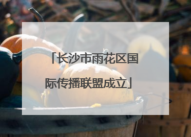 长沙市雨花区国际传播联盟成立
