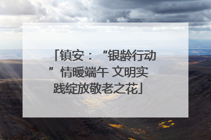 镇安：“银龄行动”情暖端午 文明实践绽放敬老之花
