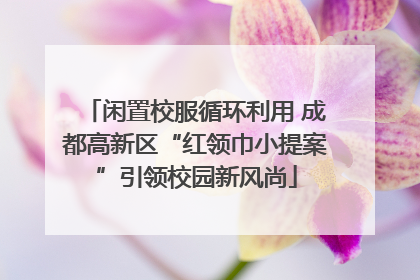 闲置校服循环利用 成都高新区“红领巾小提案”引领校园新风尚