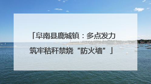 阜南县鹿城镇：多点发力 筑牢秸秆禁烧“防火墙”