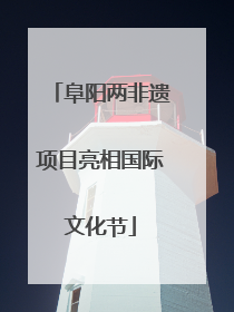 阜阳两非遗项目亮相国际文化节