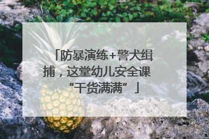 防暴演练+警犬缉捕，这堂幼儿安全课“干货满满”