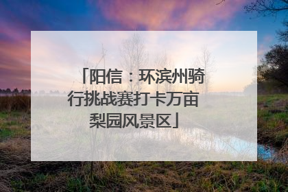 阳信：环滨州骑行挑战赛打卡万亩梨园风景区