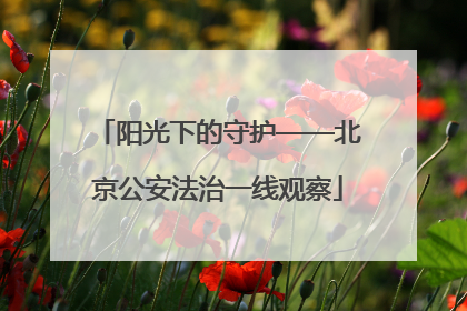 阳光下的守护——北京公安法治一线观察