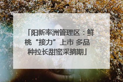 阳新率洲管理区：鲜桃“接力”上市 多品种拉长甜蜜采摘期