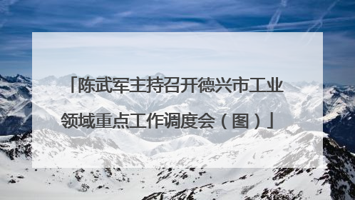 陈武军主持召开德兴市工业领域重点工作调度会（图）