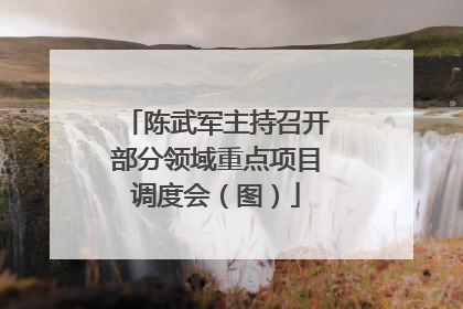 陈武军主持召开部分领域重点项目调度会（图）
