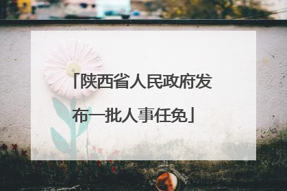 陕西省人民政府发布一批人事任免